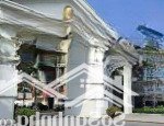 8tr/th-liền kề 2 tầng đường 10m cho thuê rẻ (vp kinh doanh kho) tố hữu hà đông cách đh phenika 1km