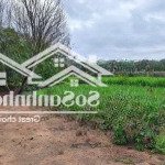 Bán đất tại xã hòa hội, xuyên mộc, bà rịa vũng tàu, 3,5 tỷ, 1800 m2