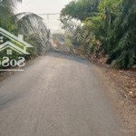 đất thổ cư giá rẻ đường bờ chùa xã phước hậu huyện cần giuộc tỉnh long an