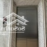 Mặt tiền 8m! mặt phố nguyễn văn huyên, thang máy, vỉa rộng, kinh doanh, quận cầu giấy