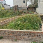 Bán đất phúc lợi, long biên, ngõ thông, ô tô tránh, vào đất 58m2 chỉ 7 tỷ hơn