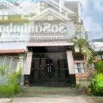 Chdv 4 tầng 7pn,8wc hẻm xe tải với doanh thu gần 30tr/tháng sổ vuông a4