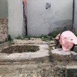 đất tại xã quất động, thường tín, hà nội, 2,85 tỷ, 80m2, mặt tiền 5m. oi tô vào tận đất. 200m ra ql