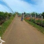Chủ cần bán lô đất đẹp ở lộc đức