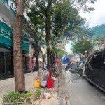 Siêu hiếm. bán nhà mặt phố nguyễn thái học, ba đình 450m2 mt 13.5m một sổ 1 chủ sẵn giao dịch.