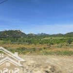 Chủ cần tiền bán giá đầu tư 1ha tại xã lộc đức -bảo lâm
