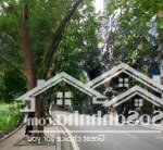 Bán nhanh nhà phố trấn vũ - trúc bạch - ba đình, căn góc, dt 130m2, 5 tầng thang máy, gía 75 tỷ
