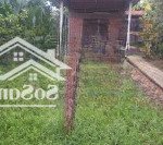 đất châu thành - long an 894m2 full thổ 2 mặt tiền sông - đường đá