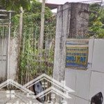 Bán nhà riêng tại đường bình kiều, đông hải 2, hải an, hải phòng. dt 625 m2, 19,5 triệu/m2