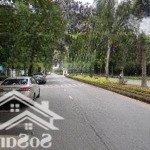 Bán căn biệt thự lạc long quân, vườn đào liền kề phân lô ô tô tránh - lô góc/100m2 x 5 tầng