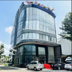 Bán nhanh tòa nhà nguyễn văn trỗi, phú nhuận, 15x17m, 5 tầng - thang máy, hđt: 165 triệu, giá 42 tỷ