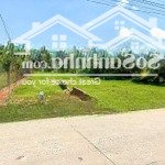 Bán đất tại nguyễn trãi, p.3, gò công, nằm ngay tt tp gò công, 345tr/125m2. shr, full thổ.