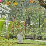 Chính chủ bán 1 mảnh 2 mặt tiền 10m, chỉ 13tr/m tại quốc oai, rẻ hơn xung quanh vài giá. ảnh thật