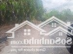 Bán đất đẹp tại tóc tiên sát phường hắc dịch, phú mỹ, bà rịa vũng tàu, 1,5 tỷ, 524m2