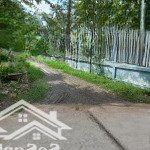 1.750ty/232m2 đất ở khu dân cư trung tâm xã đại phước, sổ riêng