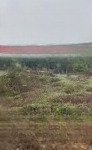 Bán đấu giá 833m2 đất tại an phú, mỹ đức, hn