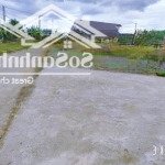 Bán đất thổ 99m2 diên hoà diên khánh mặt tiền đường liên thôn ngay trường trần đại nghĩa