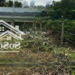 Cần ra đi lô đất đ. tán kế, gần ubnd huyện châu thành, bến tre. sổ sẵn. 120m2 giá 500triệu full thổ