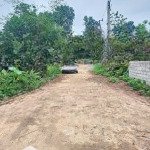 Chính chủ gửi bán: tổng diện tích 91.5m2 full thổ cư + mặt tiền 6 m + thôn miễu, tiến xuân