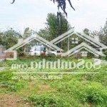 đất nghỉ dưỡng giá rẻ tại cư yên - lương sơn - hoà bình. 234m2 mặt tiền rộng 10m