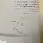 Cần bán gấp lô đất 254,4m2 mặt đường quý kim, hợp đức, đồ sơn, mặt tiền 9m kinh doanh siêu đẹp.