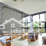 Bán căn hộ studio , chung cư haven park ecopark , có sổ , không đồ phù hợp tự thiết kế nội thất