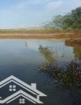 Bán đất xã long hòa cạnh vòng xoay long hòa 8tr/m2 thích hợp làm khách sạn