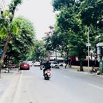 Thông số vàng vị trí đắc địa mặt phố cổ quận hai bà trưng 175m2 mt 10m sổ vuông giá 145 tỷ