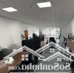 Chính chủ trống 3 sàn văn phòng tại trung tâm quân cầu giấy 13 triệu/85m2. hh 70%