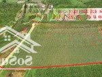 Bán gấp đất tại xã đà loan, đức trọng, lâm đồng, giá cực chất 7,468 tỷ, 15000 m2