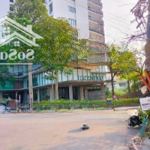 Siêu phẩm tây hồ 650m2, 10t, 231tỷ, dòng tiền triệu usd, hầm để xe oto, 2 mặt thoáng, vip