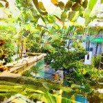 Ngay xa lộ hà nội, ngã tư thủ đức - nhà 126m2* 3 tầng, mặt tiền đường, trung tâm hiệp phú, q9