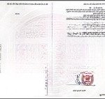Cần nhượng lại 2 sào đât trồng cây hàng năm - tân hóa nam, cát hanh, phù cát, bình định