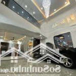 Indochine house ngang 7m cực đẹp ngay emart phan huy ích, đậu 2 ô tô, full nội thất, thang máy
