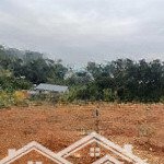 Bán đất 2440m2 tại đt 87, vân hòa, ba vì, hà nội chỉ với 9,2 tỷ vnd