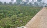 Bán 7200m2 đất nhà vườn tại lương sơn, hòa bình