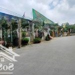 450m2. có 100m2 tc. đồi miễu nam phương tiến, cm hà nội. cách hồ miễu 50m. ac qt 0979174833