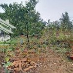 Cc bán đất xã hòa thạch, quốc oai, hn mặt tiền khủng 10,85m đường ô tô vào tận đất giá 11tr/ m2