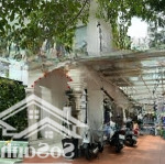 Siêu phẩm! villa sân vườn ngay tạ quang bửu - bx q8 (7mx24m) 3 tầng - 17.8 tỷ tl