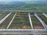 Bán đất nền sổ đỏ từng lô thái đào residence lạng giang. giá ngoại giao rẻ nhất
