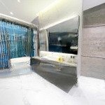 Gia đình cần cho thuê gấp biệt thự chateau, pmh, quận 7, nhà mới 100%
