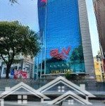 Ngộp bank! bán gấp building mặt tiền ngay hoàng hoa thám - dt: 11x50m - hầm 11 tầng - giá 89 tỷ tl