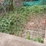 Bán đất lệ chi - gia lâm - đất siêu hiếm - dòng tiền nhỏ - 41m2 - 2,15