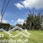 Lô đất vàng! trục chính 25m thông kcn đối diện chợ trường giá giảm 70% chỉ còn 550tr lh:0985761818