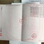Chủ về bình định sống nên cần bán gấp lô đẹp (đã có sổ) ở dự án đức phát 3 giá chỉ 760 triệu