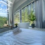 Homestay view thung lũng rừng thông hoàng hoa thám 250m2 ngang 12,7m 11 phòng có nguồn thu cao