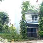 Cần bán: đường 5m5 lê đỉnh đường thông dài rất đẹp, hướng đông