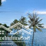 Quá đẹp! võng thị, tây hồ 270m2, 10 tầng, mt 14m, ô tô, view hồ tây kd, dòng tiền, 86 tỷ