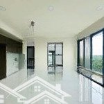 Cho thuê căn hộ diamond centery 3pn (120m2, 121m2) - dự án celadon city tân phú