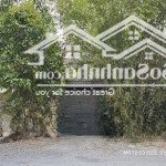 Cho thuê căn hộ mini trung tâm sg, khu an ninh, có sân vườn thoáng mát, giá chỉ 2tr/tháng
